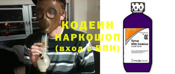 мдпв Верхний Тагил