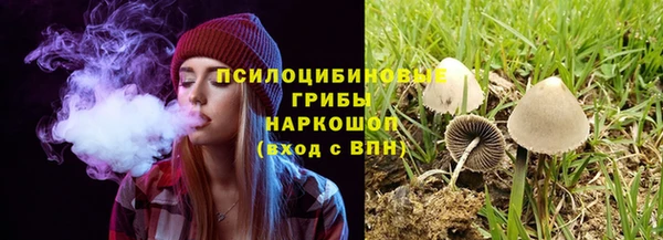 стафф Верея