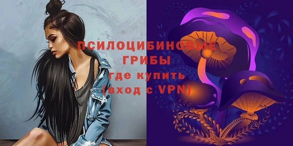 мдпв Верхний Тагил