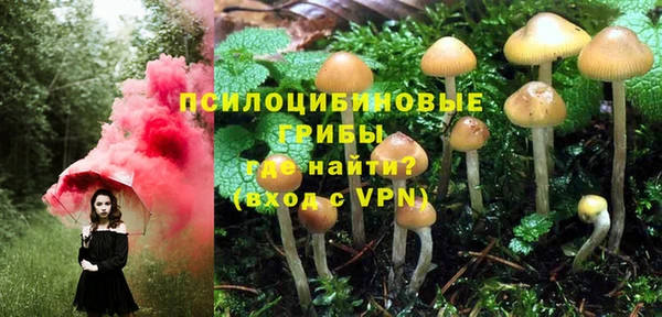 стафф Верея
