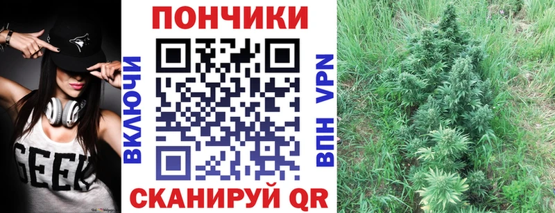купить наркотик  Новопавловск  Бошки марихуана план 